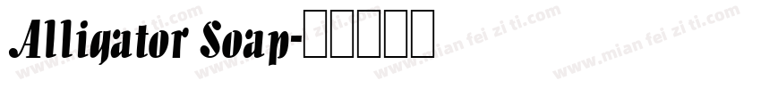 Alligator Soap字体转换